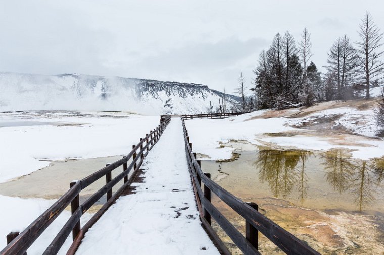 61 Yellowstone NP.jpg